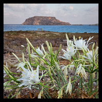 Karpathos2018-067-Edit
